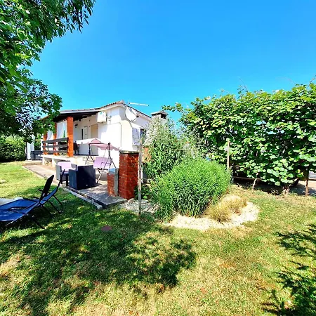 Ulika L Private Olive Grov, Pets & Jacuzzi For Two Semesterbostad